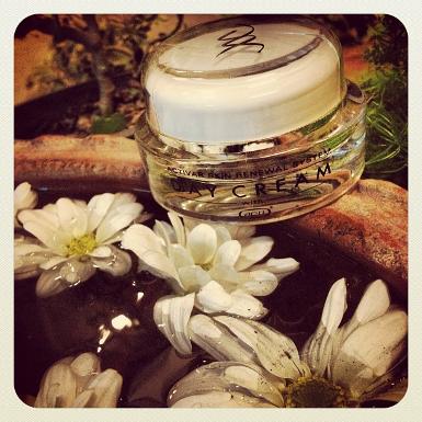Activar Skin Renewal System Day Cream